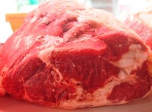 돼지고기,음식정보,국내여행