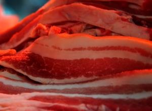 흑돼지고기,음식정보,국내여행