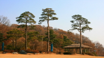 [탐사] 감성이 가득한 고장 경기 평택시,경기도 평택시