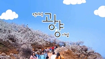 소확행, 광양에서 즐겨보자 365! - 전지적 광양 시점,울산광역시 울주군