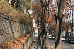 워커힐 길,국내여행,여행지추천