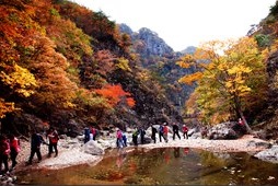 절골계곡,국내여행,여행지추천