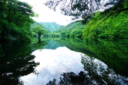 주산지,국내여행,여행지추천