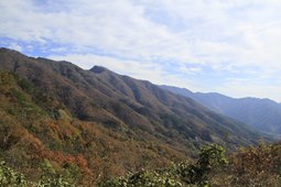 지리산,국내여행,여행지추천